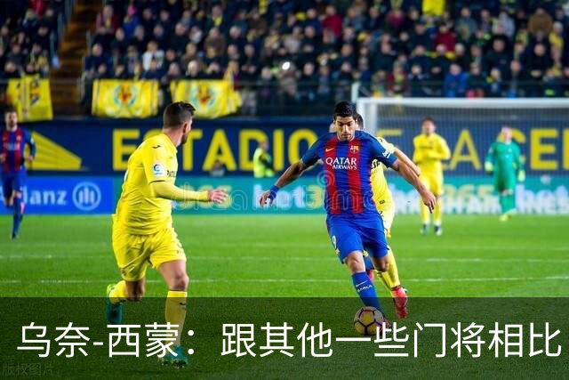 乌奈-西蒙：跟其他一些门将相比，我并没有费太大的力气