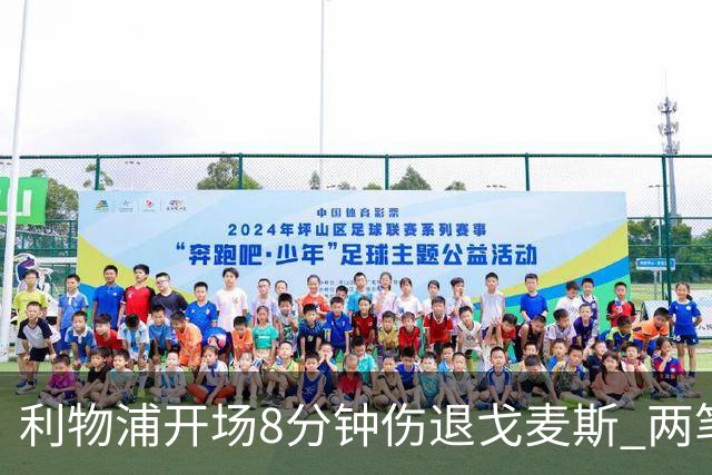 利物浦开场8分钟伤退戈麦斯 两笔350万引援被迫搭档季前赛
