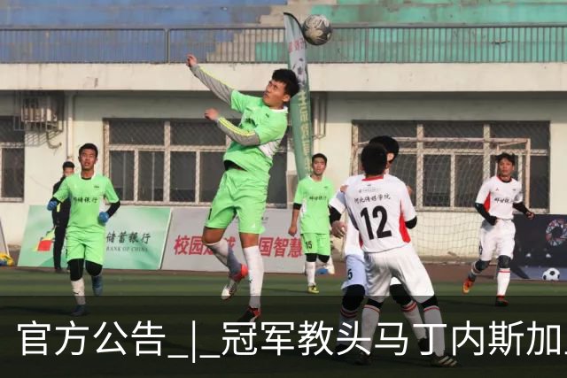 官方公告 | 冠军教头马丁内斯加盟河南焦作文旅男篮