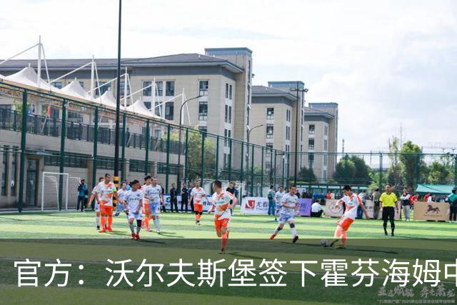 官方：沃尔夫斯堡签下霍芬海姆中场达马尔，双方签约至2031年