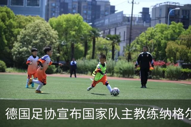 德国足协宣布国家队主教练纳格尔斯曼辞职