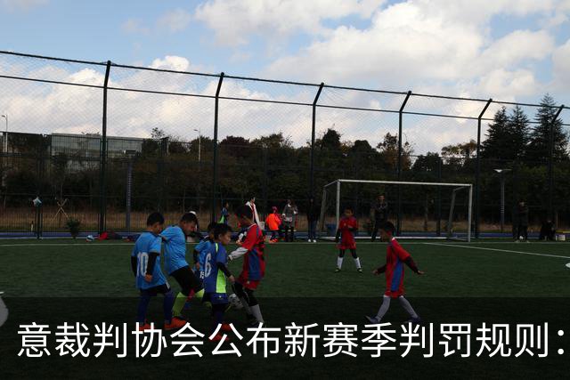 意裁判协会公布新赛季判罚规则：捂嘴不会吃红牌，VAR可介入第2黄