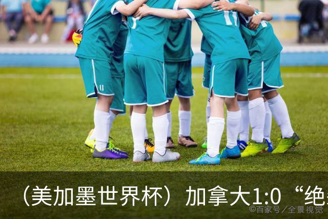 （美加墨世界杯）加拿大1:0“绝杀”南非 队史首进16强