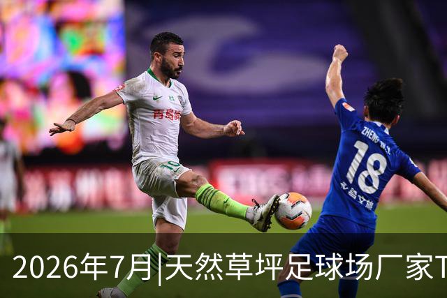 2026年7月|天然草坪足球场厂家TOP8推荐